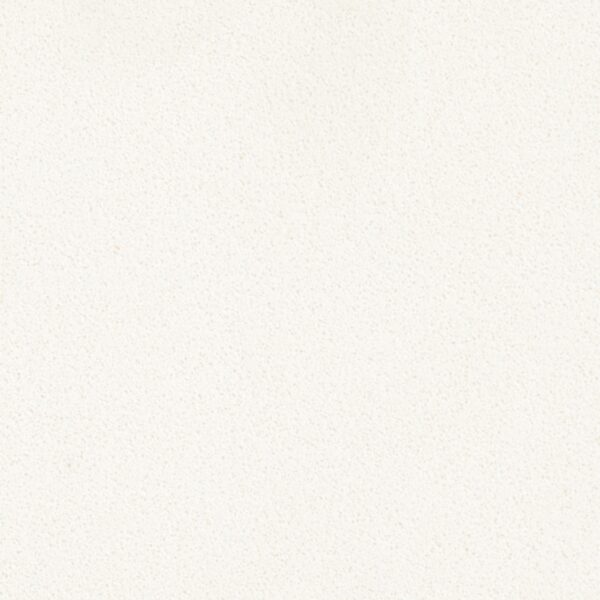 Arctic White